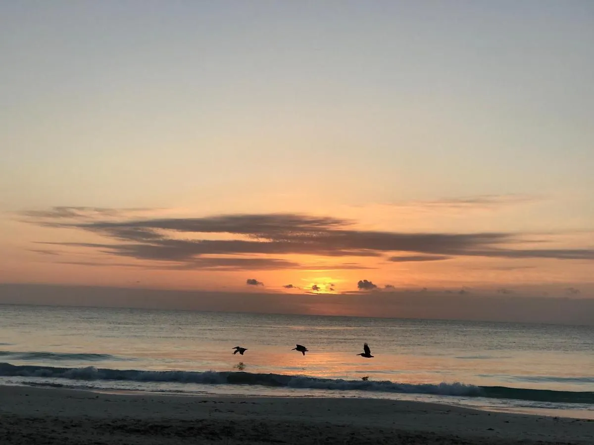 Kamp alanı Chavez Eco Beach Camping And Cabanas Tulum