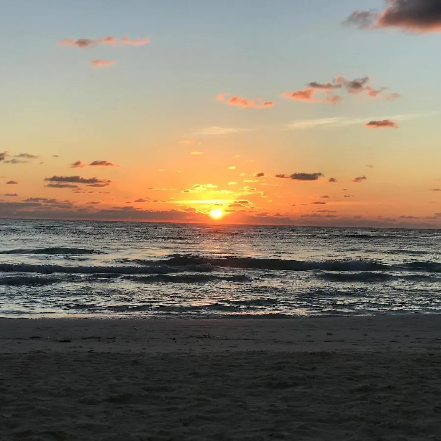 Campsite Chavez Eco Beach Camping And Cabanas Tulum Mexico