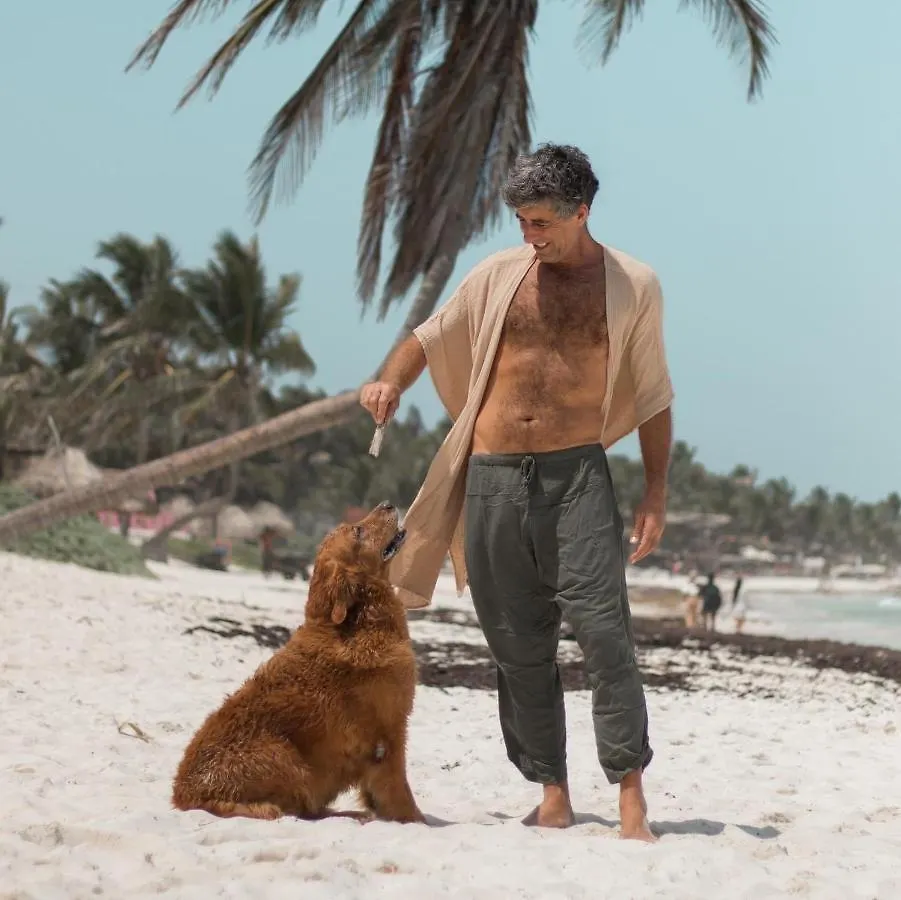 Chavez Eco Beach Camping And Cabanas Tulum Campsite