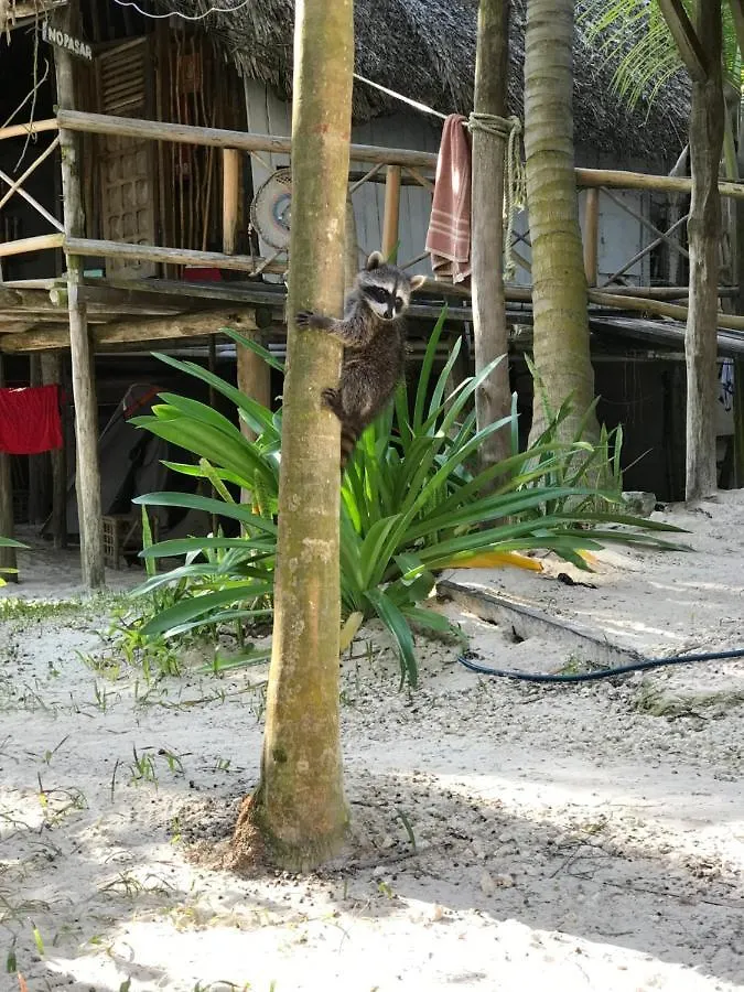 Chavez Eco Beach Camping And Cabanas Tulum Campsite