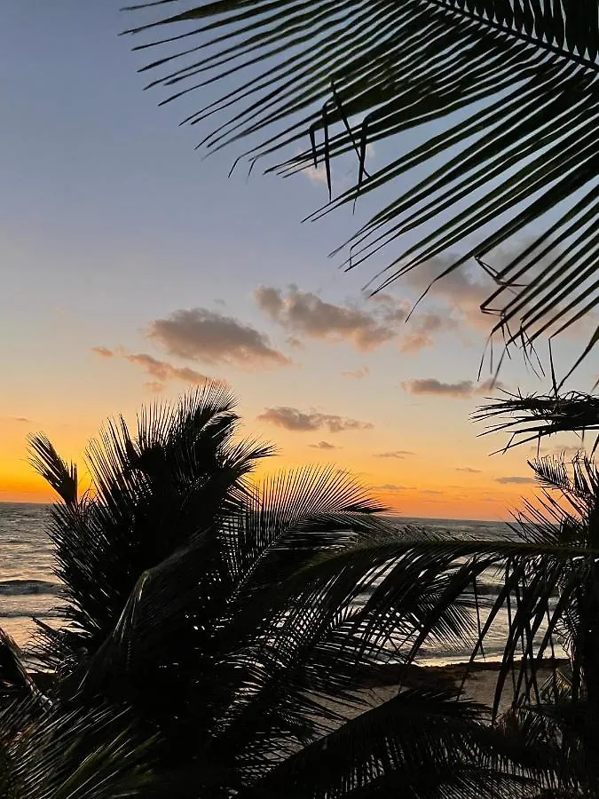 Campsite Chavez Eco Beach Camping And Cabanas Tulum